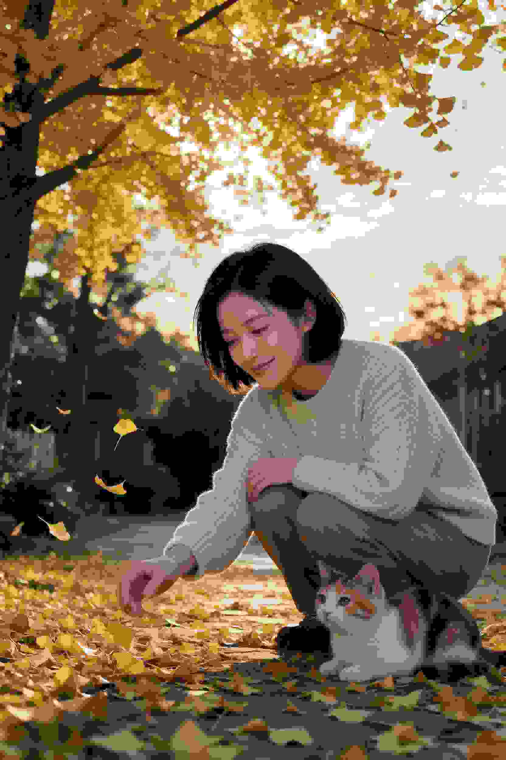 传奇归来